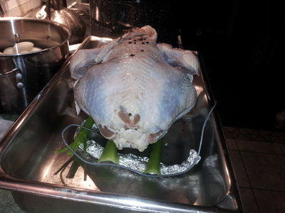 Part of the experiment was cooking the turkey BREAST SIDE DOWN.  A foil snake and some celery sticks elevate the turkey and keep the breast skin from sticking to the bottom