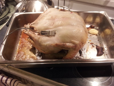 When the breast hit 135, the thigh was up to a full 175, appropriate for dark meat.  The turkey is already flipped over in this picture.  Meat thermometer probe should actually be stuck in closer to where the red pop-up thermometer sits, as we discovered and corrected later in the cooking.  I buttered the outside of the bird to aid in coloring then *accidentally* lost the rest of the butter in the cavity of the bird with all that garlic.  This didn't disappoint anyone.